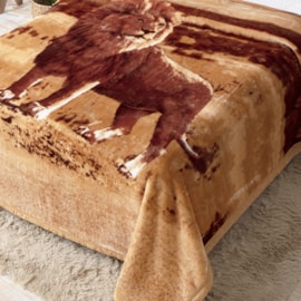 Cobertor Casal Raschel Leão Jolitex Ternille Cobertor Casal Raschel Leão Jolitex Ternille