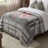 Cobertor King Raschel Double Action Ávila Jolitex Ternille