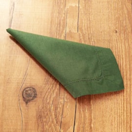 Kit Guardanapo Ponto Ajour 40cm x 40cm Argivai Musgo 4 peças Kit Guardanapo Ponto Ajour 40cm x 40cm Argivai Musgo 4 peças