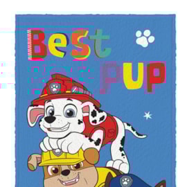 Toalha de Banho Infantil Felpuda Lepper Patrulha Canina Friends Toalha de Banho Infantil Felpuda Lepper Patrulha Canina Friends