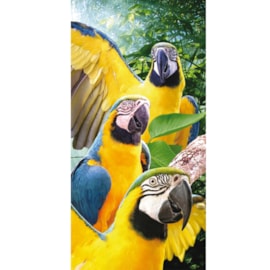 Toalha de Praia Bouton Veludo Araras Toalha de Praia Bouton Veludo Araras