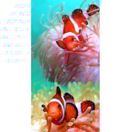 Toalha de Praia Bouton Veludo Peixe Palhaço Toalha de Praia Bouton Veludo Peixe Palhaço